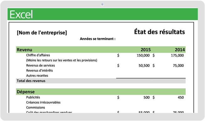 Modèle de déclaration de revenus