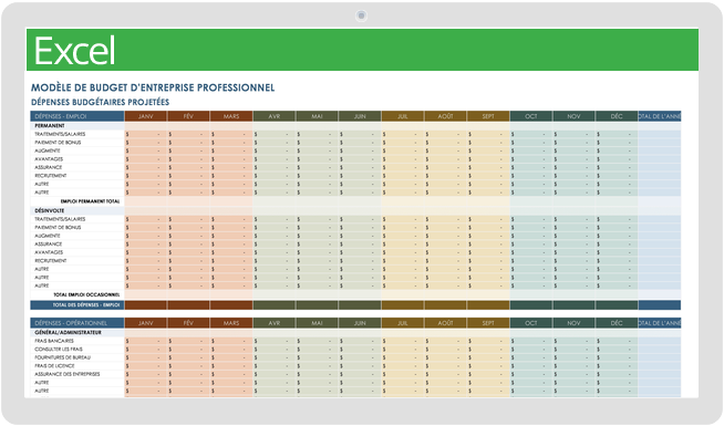 Budget d'entreprise professionnel